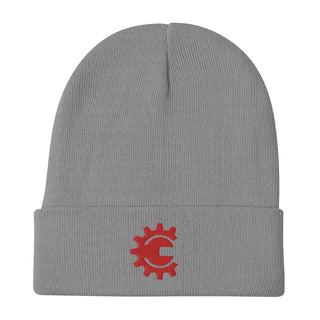 Buy gray CTW Logo Embroidered Beanie